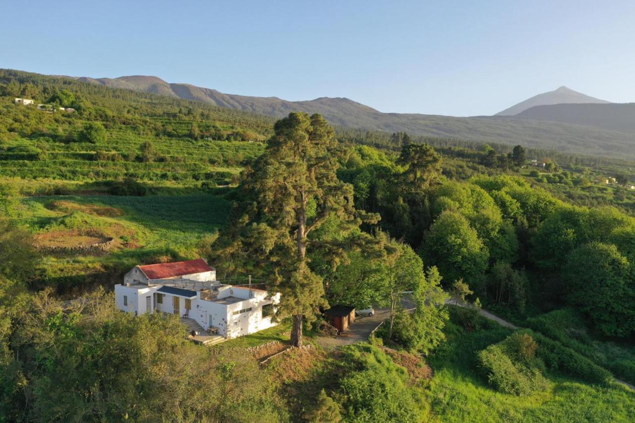 El Pino Centenario 4 Los Realejos Dış mekan fotoğraf